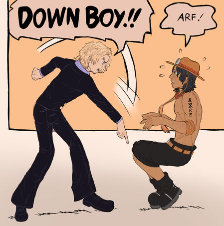 Fan art of one piece charter
